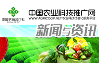 中共中央政治局召開會議 分析研究當前經(jīng)濟形勢和經(jīng)濟工作 中共中央總書記習近平主持會議